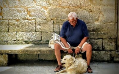 ¿POR QUÉ ES BUENO QUE LAS PERSONAS MAYORES TENGAN UN PERRO?