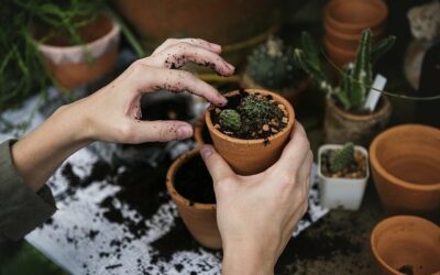 6 ACTIVIDADES QUE AYUDAN A PACIENTES DE ALZHEIMER